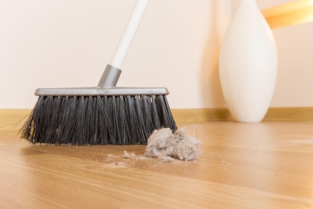 Best House Cleaning Services in London